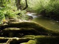 /album/fotogaleria-co-mozno-neviete-o-rieke-myjava/obrazok-725edited-jpg/