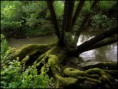 /album/fotogaleria-co-mozno-neviete-o-rieke-myjava/obrazok-747upravena-jpg/