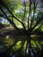 /album/fotogaleria-co-mozno-neviete-o-rieke-myjava/obrazok-1052edit-jpg/